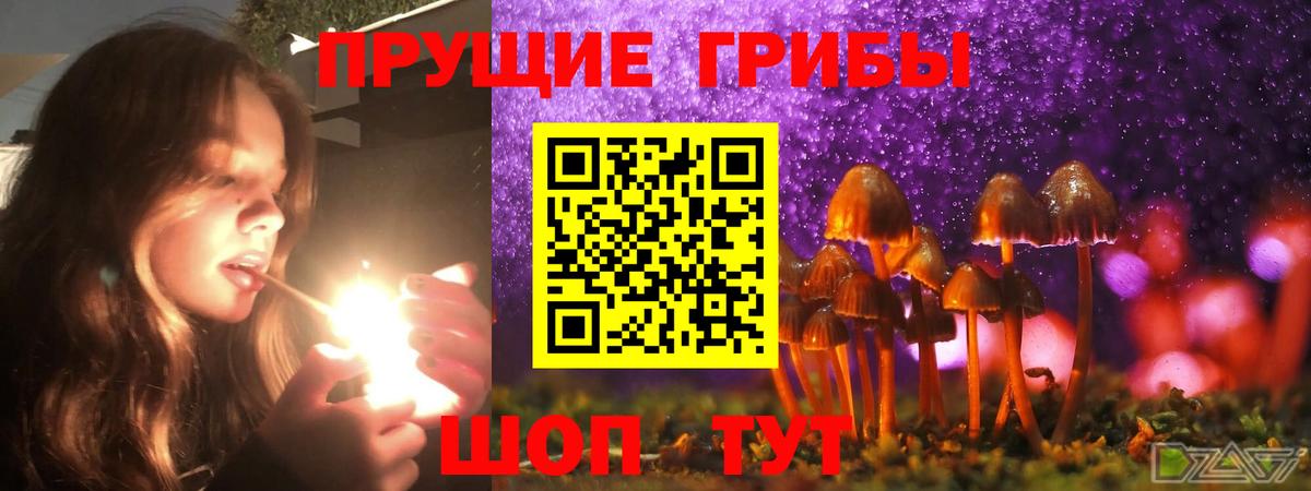 Сосновоборск  Псилоцибиновые грибы MAGIC MUSHROOMS  купить  цена  Вход с VPN  Псилоцибиновые грибы прущие грибы 